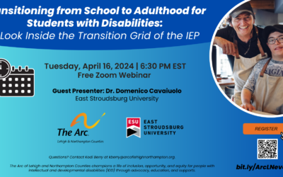 Transitioning from School to Adulthood for Students with Disabilities: A Look Inside the Transition Grid of the IEP